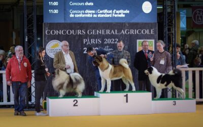 Salon de l’agriculture 2025