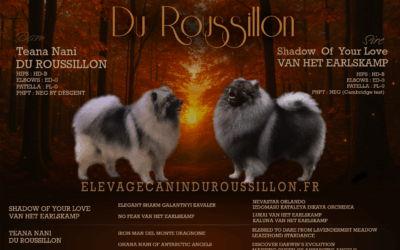 Nouvelle portée 2025 !!